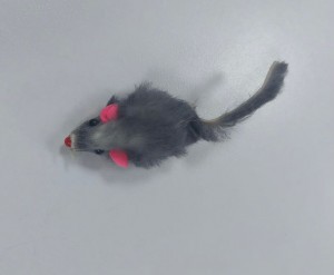 Мышь серая с кошачьей мятой