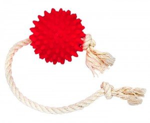 Зооник игрушка для собак Мяч массажный на веревке